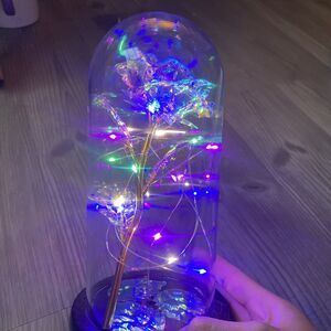 Crystal Galaxy Enchanted LED Glass Forever Rose Valentine's Day Home Dome Gifts